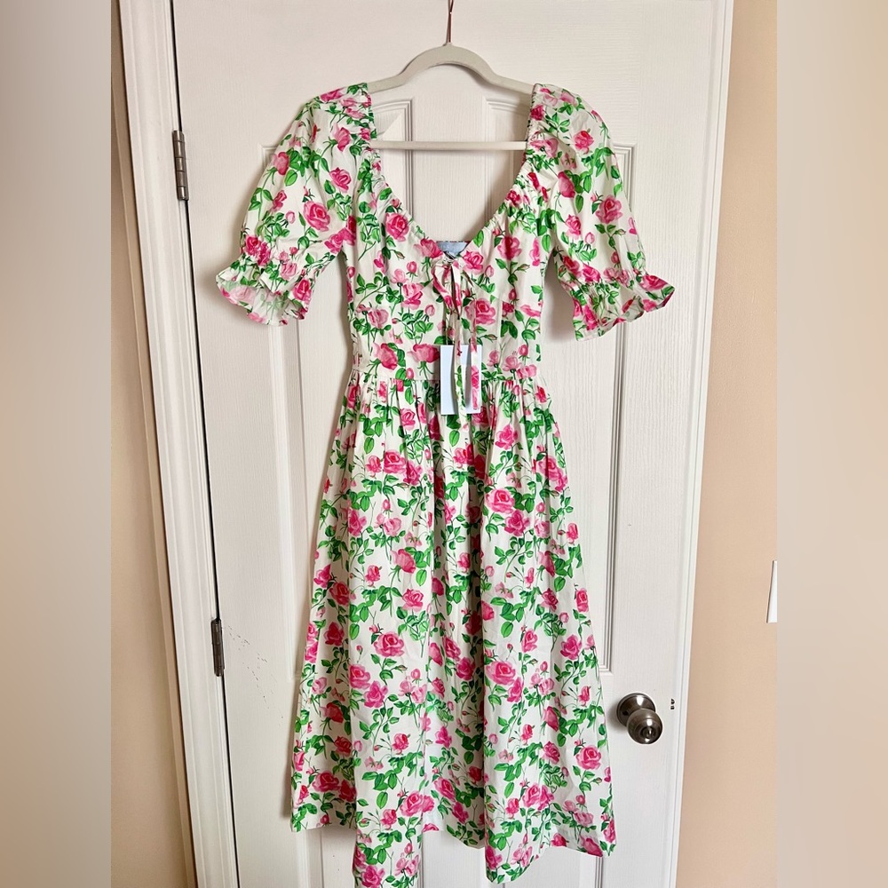 NWT HHH Ophelia Dress Roses